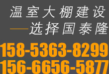 国泰隆联系电话：158-5363-8299