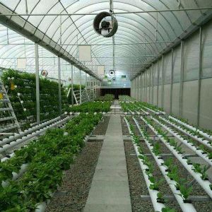 “智能农业大棚”科技的产物